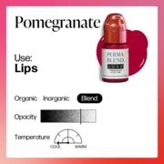 Perma Blend Luxe Pomegranate v2 pigment for permanent lip make-up, 15 ml