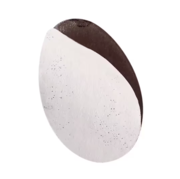 STALEKS PRO PODODISC white replacement pads XS 180 grit (50 pcs)