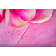 Шайба Soft&amp;amp;Scrub (упаковка 50 шт.), розовая