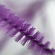 Nylon eyelash brush glitter purple (50 pcs. op.)