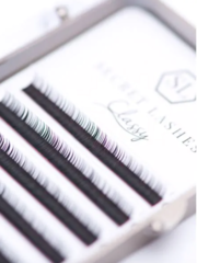 Secret Lashes Classic 6 D-line, 0.10, 15 mm