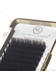 Вії Secret Lashes Hypnotizing D, 0.05, 14 мм