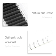Nagaraku 3D W-Shape Eyelashes C, 0.07, 9 mm