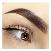 Farba do brwi Elan SBTS 04 Icy cold brown 2.0 20 ml