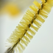 Eyelash brush nylon glitter yellow (50 pcs. op.)