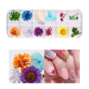 Suszone kwiaty do zdobień paznokci H-12, kasetka, 12 kolorów