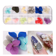 Suszone kwiaty do zdobień paznokci G-11, kasetka, 12 kolorów