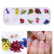 Suszone kwiaty do zdobień paznokci M-10, kasetka, 12 kolorów