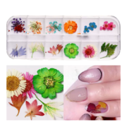 Suszone kwiaty do zdobień paznokci B-9, kasetka, 12 kolorów