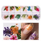 Suszone kwiaty do zdobień paznokci E-6, kasetka, 12 kolorów