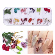 Suszone kwiaty do zdobień paznokci N-4, kasetka, 12 kolorów