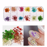 Dried flowers for nail art A-2, case, 12 colours