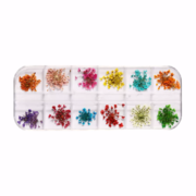 Dried flowers for nail art A-2, case, 12 colours