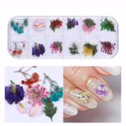 Suszone kwiaty do zdobień paznokci O-1, kasetka, 12 kolorów